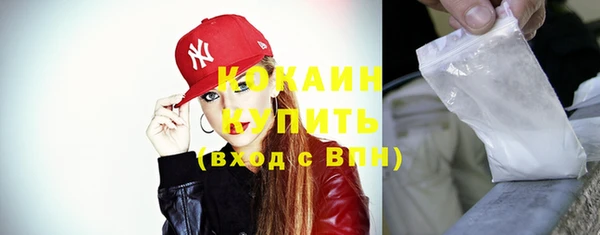 сатива Кулебаки