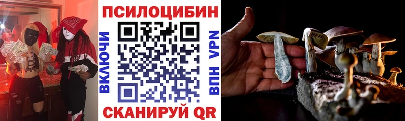купить наркоту  Батайск  Псилоцибиновые грибы мицелий 