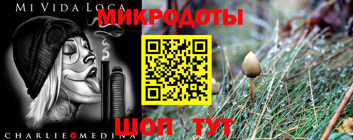 Псилоцибиновые грибы Psilocybine cubensis Батайск