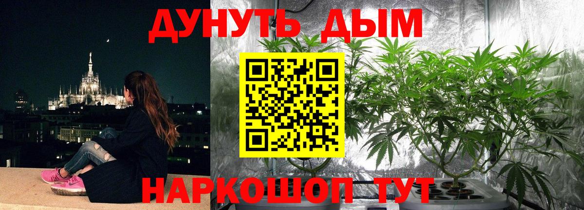 Бошки марихуана SATIVA & INDICA Батайск
